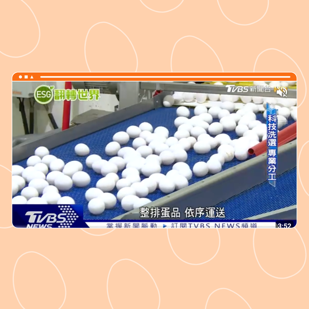 【世界翻轉中】轉型! 乳牛場.蛋雞場科技經營 添增產業競爭力圖片